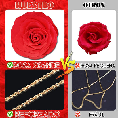 Oso con Rosa Eterna + Collar Personalizado